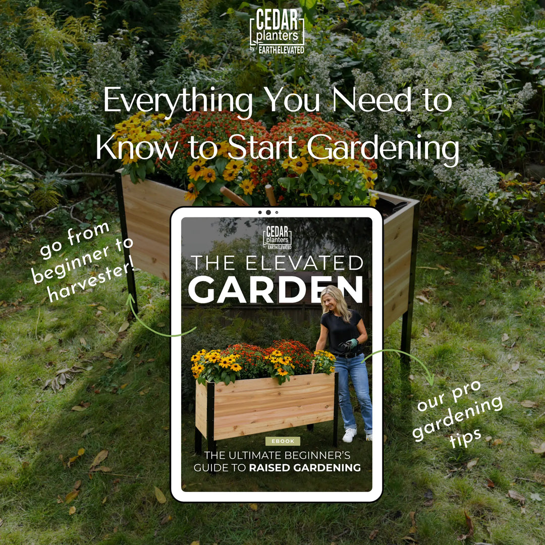 E-Book: Guia para Principiantes sobre Cultivo em Mesas de Cultivo