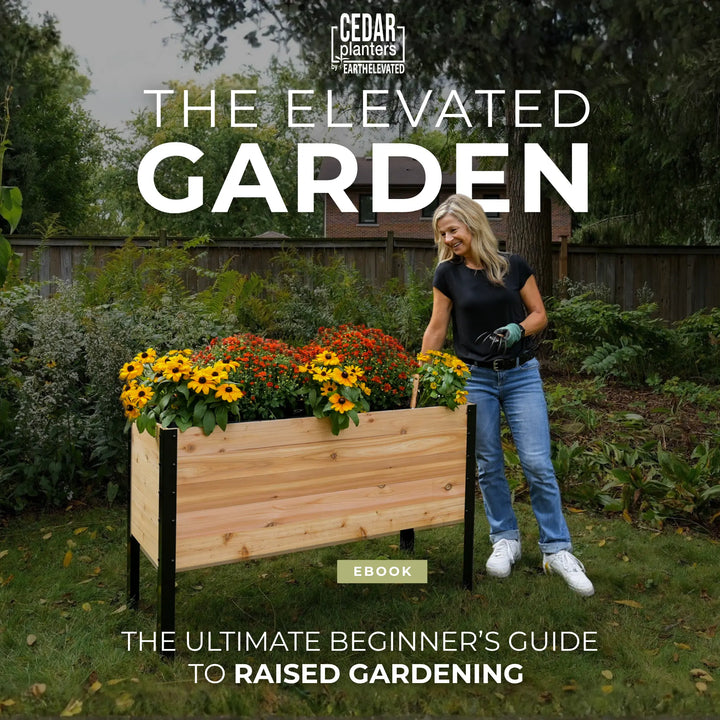E-Book: Guia para Principiantes sobre Cultivo em Mesas de Cultivo