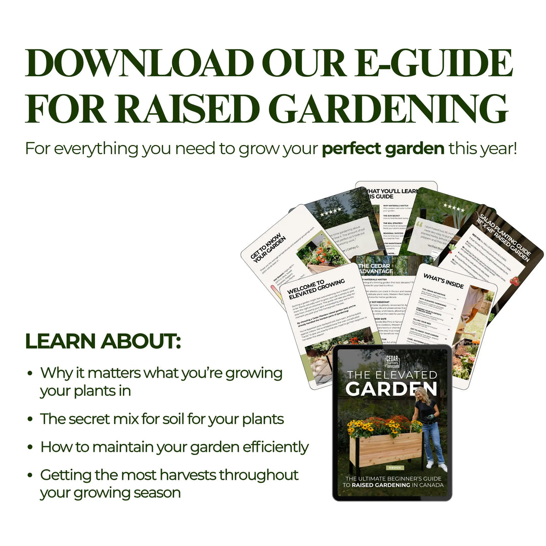 E-Book: Guia para Principiantes sobre Cultivo em Mesas de Cultivo